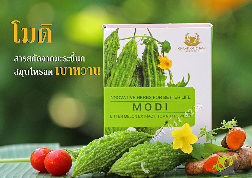 MODI โมดิ