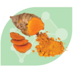 ขมิ้นชัน Turmeric